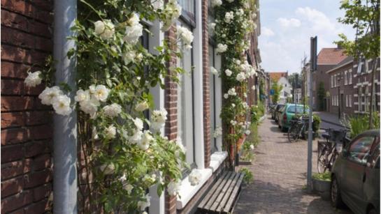 een tuintje tegen je gevel