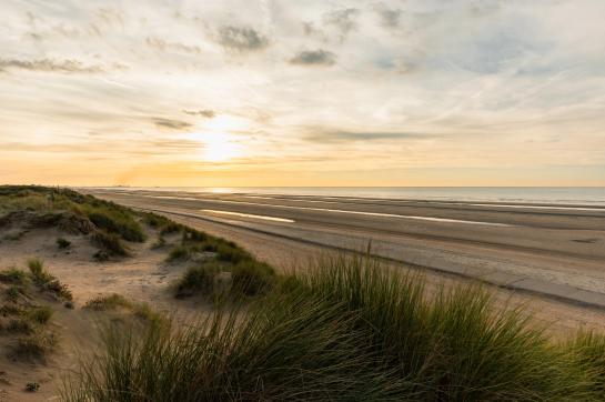 Strand en duinen van De Panne